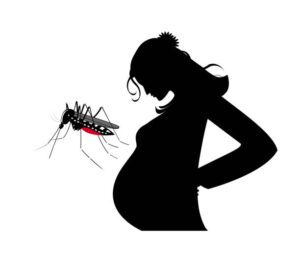 Why Pregnant Women Should Take Malaria Prophylactic Treatment