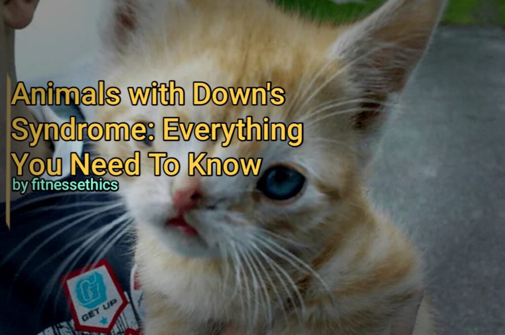 Animals With Down’s Syndrome: Everything You Need To Know 