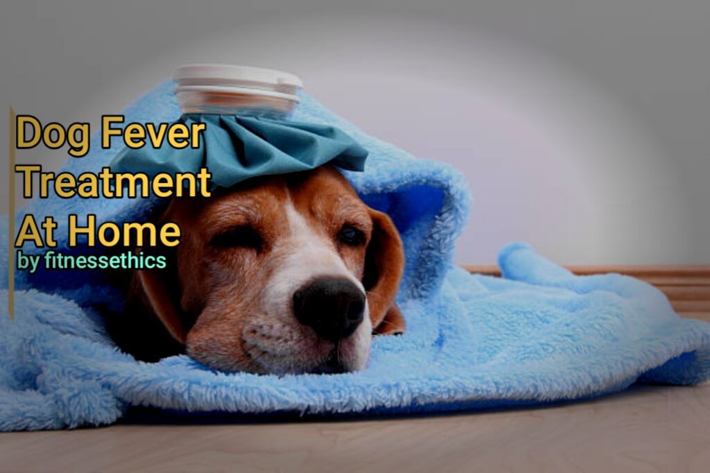 Dog Fever Treatment At Home